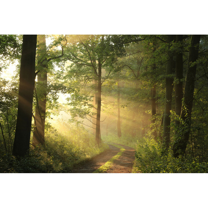 Country Road - Wrapped Canvas Print, 30cm H x 46cm W x 3.8cm D