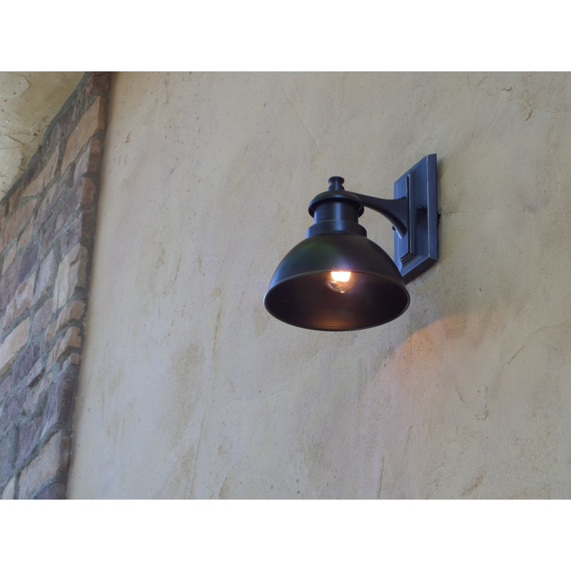 Luminaire de grange d'extérieur H 10,25 po Elisha, Noir impérial