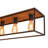 Delcina Industrial Rectangle Cage Flush Mount-639880919