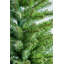 4ft Kingswood Fir Pencil Tree