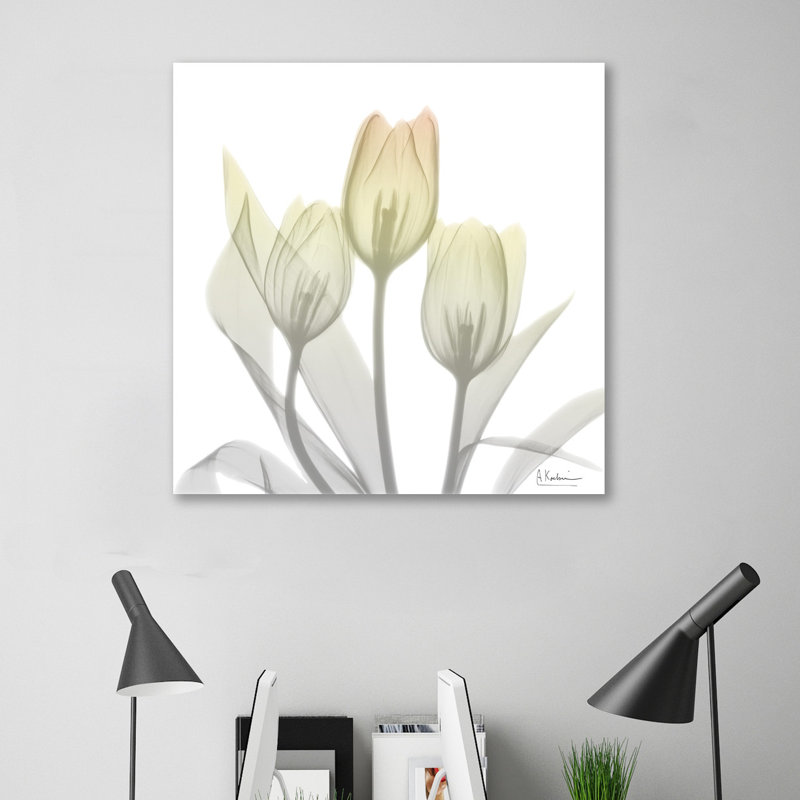 Sunday Morning Tulips Two - Wrapped Canvas Print, 91 cm H x 91 cm W