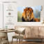 Proud Lion - reproduction sur toile tendue-1089983291
