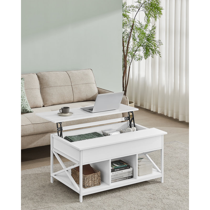 Anavilhanas Lift Top Coffee Table with Storage, White, Snow White