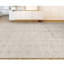 Geometric Area Rug in Silver