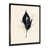 Black Picture Framed