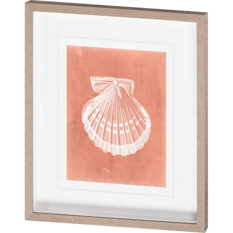 «Sealife on Coral III» par Vision Studio, reproduction d'art encadrée texturée matte sous verre, Sealife sur corail VII