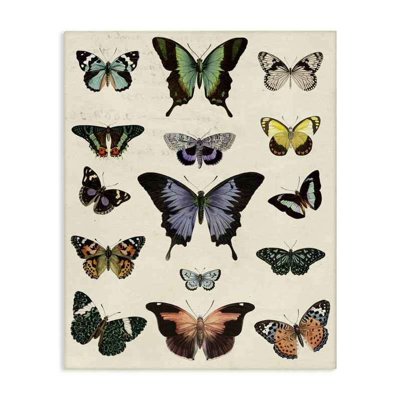 "Varied Vintage Butterflies", art mural par Susan Arnot bp-664_CN, H 40 po x l 30 po