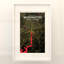 Washington - impression sur toile tendue-152590918-189732034