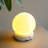 Wrought Studio™ Ceramic Touch Lamp