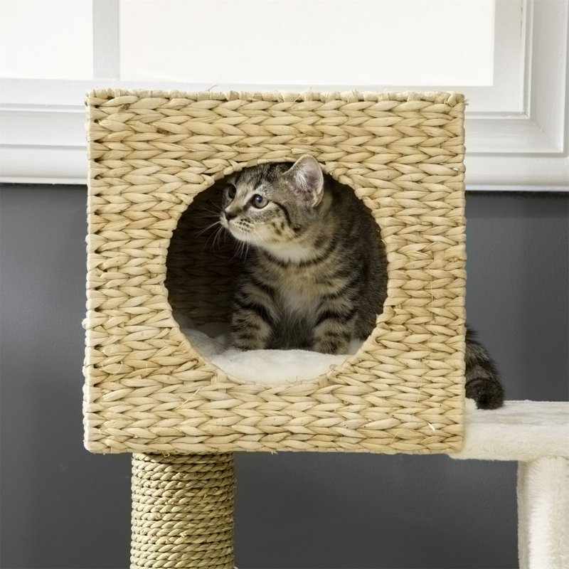 Tour à chat
