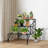 Plant Stand