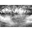 Thora 1.52m x 1.04m Matte Mural-79912213
