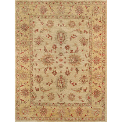 Oriental Area Rug in Beige