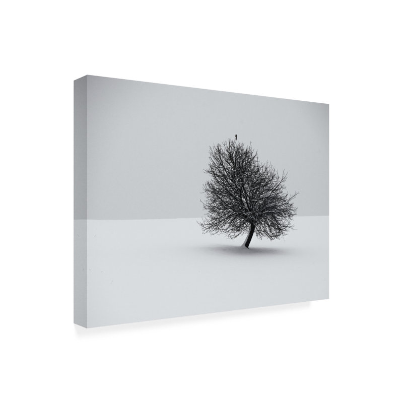 Art sur toile «Bachelor Renate Wasinger Winter», H 14 po x l 19 po