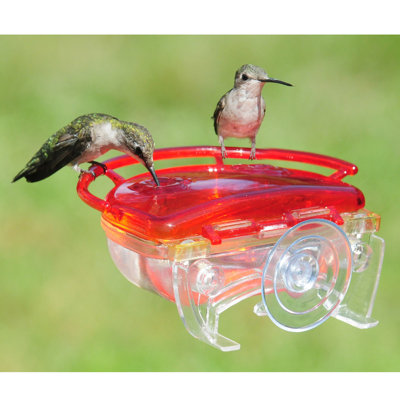 Altanay Window Hummingbird Feeder