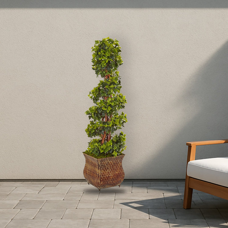 English Ivy Spiral Tree in Planter