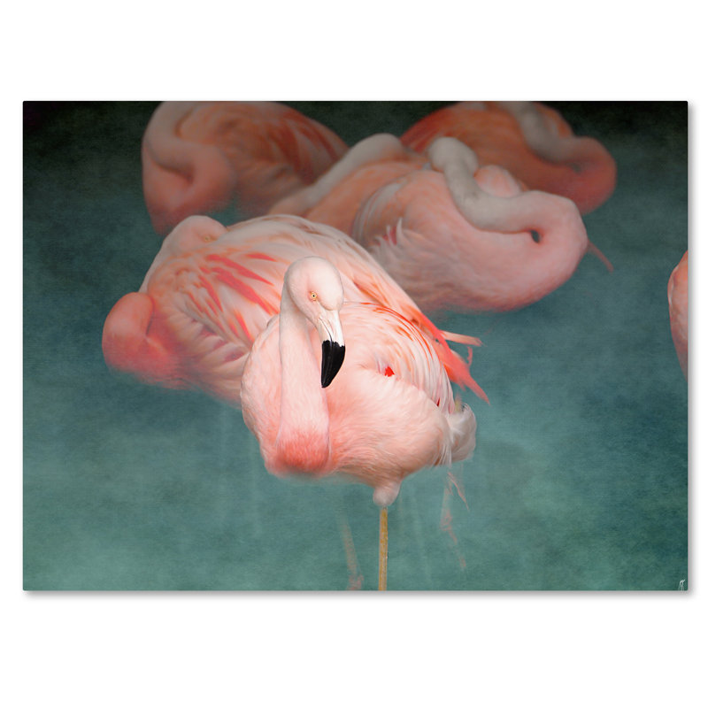 Vidur «Pink Flamingo 1», impression sur toile tendue, H 35 po x l 47 po