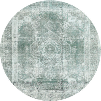 Oriental Indoor Rug