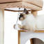35-Inch Wooden Medium Cat Tree House-117068837