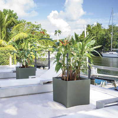 Pinch TruDrop Self Watering Square Planter