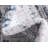 Glencoe Floral Indoor Rug-40279783