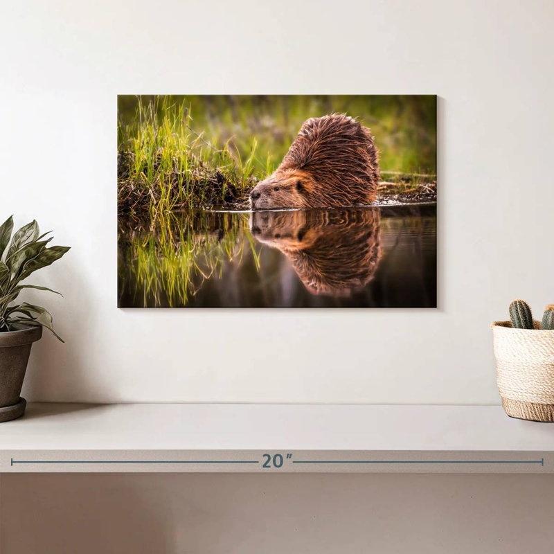 Beaver, 8" H x 12" W