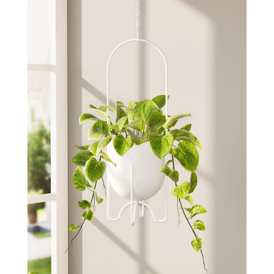 Black 5" Metal Hanging Planter, Indoor/Outdoor Window Porch Balcony Tabletop Flower Pot, No Chains/Hooks by Ebern Designs