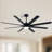 72 in. 8-Blade Black Low Profile Ceiling Fan with Integrated LED, Two-Toned Blades