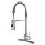 RENIST Pull Down Kitchen Faucet
