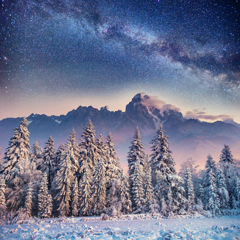 «Winter Woods in Car Pathians» par Standret - impression sur toile tendue, L 12 po x H 12 po