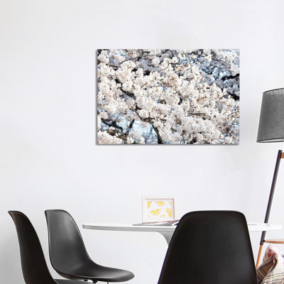Sakura Cherry Blossoms II by Philippe Hugonnard - Wrapped Canvas Gallery-Wrapped Canvas Giclée