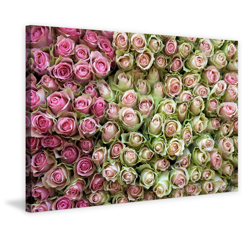 Pink and Green Roses Canvas Print Wall Art
