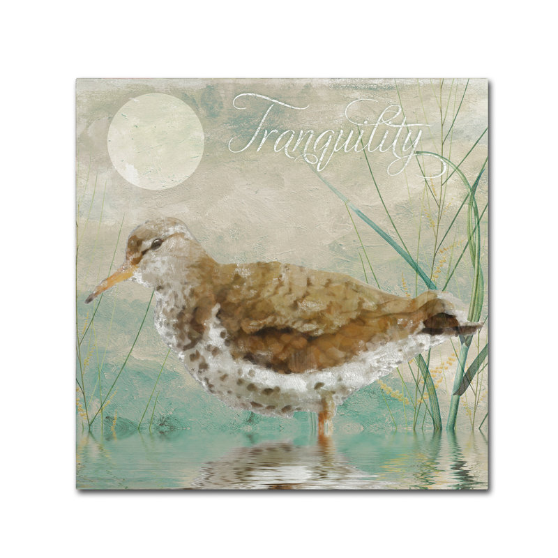 Jadaya «Sand Piper II» par Color Bakery, impression sur toile tendue, H 14 po x l 14 po x P 2 po