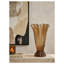Glass Apothecary Jar 1
