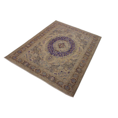Rosena Oriental Handmade Hand-Knotted Rectangle 8' x 11' Wool in Brown