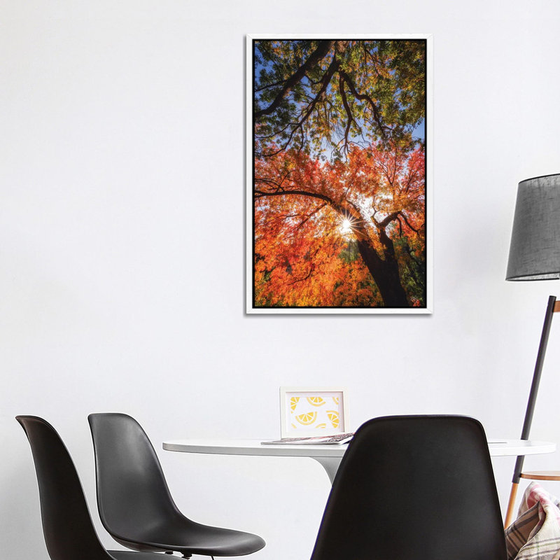 Reaching For Stars by Peter Coskun - Floater Frame Print on Canvas, 101.6 cm H x 66.04 cm W, White Framed Canvas