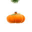 Citrouille orange (paquet de 6)