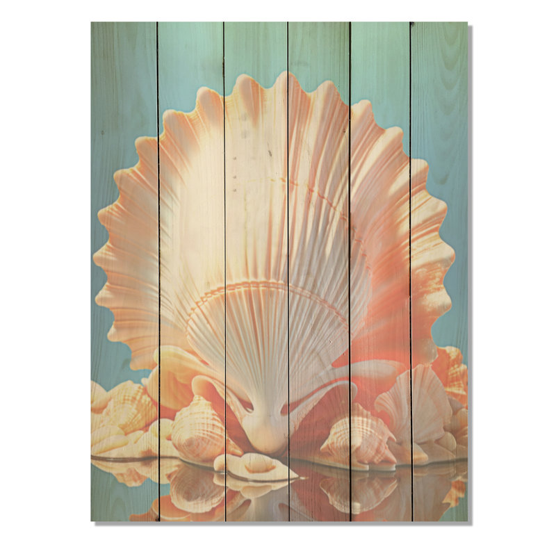 Opulente coquille symbolique - coquillage sur bois de pin naturel, H 32 po x l 24 po