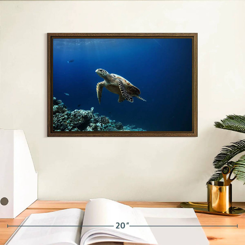 Tortue aventure, 13 po x 9 po, Cadre flottant noyer