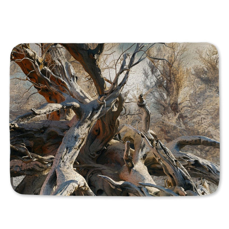 Tapis de bain en microfibre / microsuède Toohey, L 17 po x L 24 po