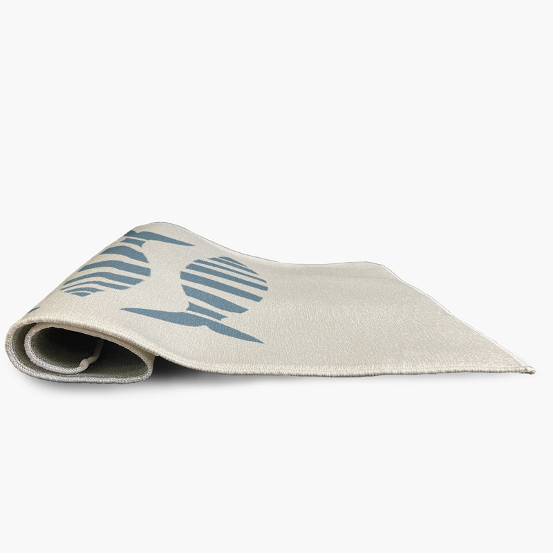 Manassa Chenille Indoor / Outdoor Rug, Rectangle 4' x 6'