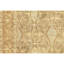 Wool Oriental Area Rug in Gold