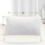 Coussins décoratifs Cheer-63475906-100538752-111989338