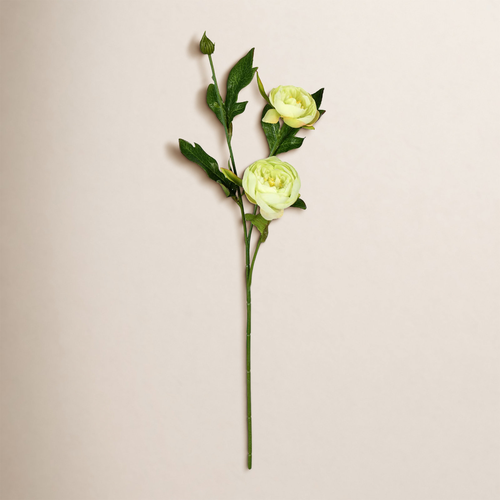 Peony Floral Stems, Lime