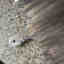 Customer photo 1 of 5