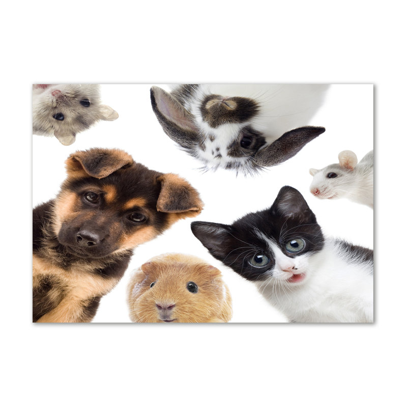 Pets - Wrapped Canvas Print
