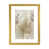 Gold Framed Paper