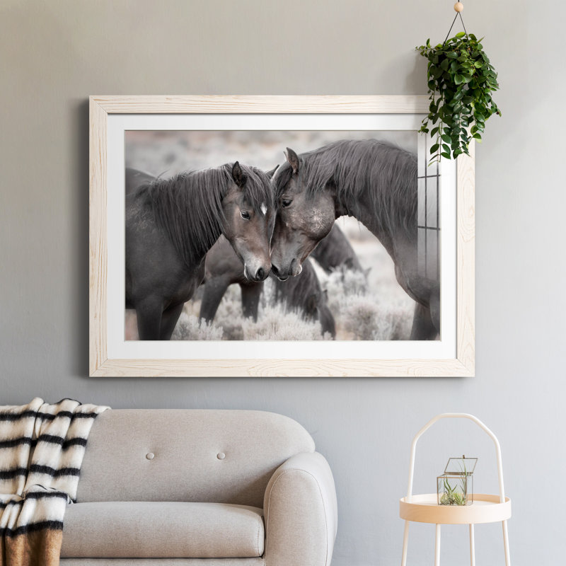 Chevaux sauvages - Photographie avec cadre photo, H 31 po x l 44 po x P 1 po, Cadre blanc