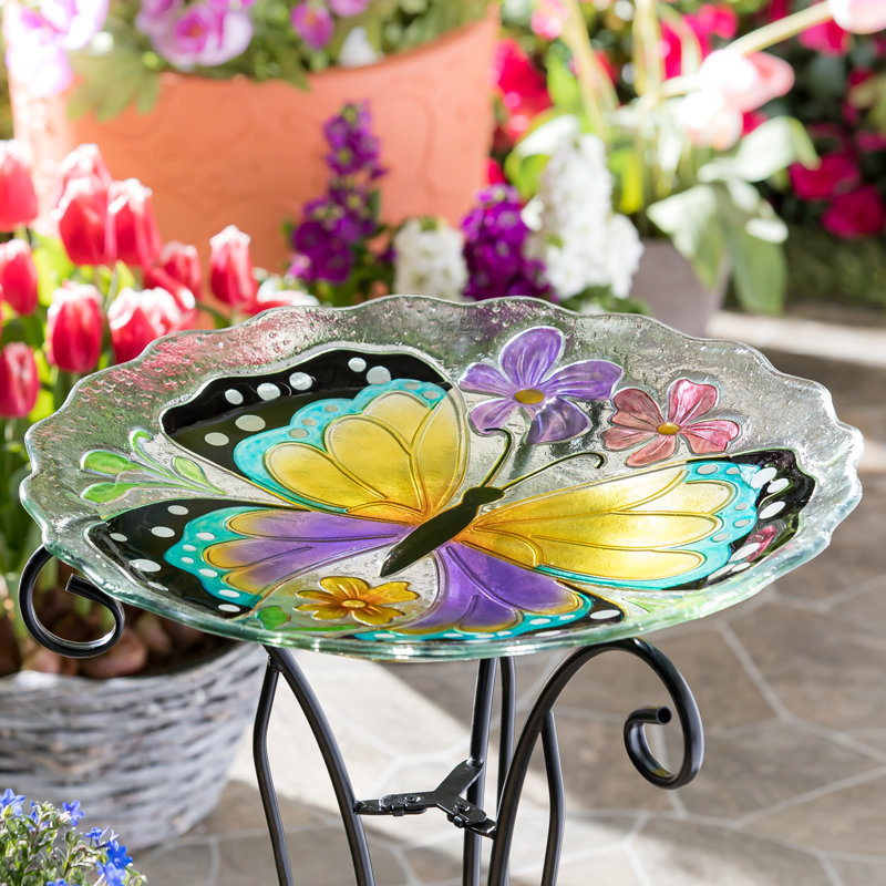 Alaza Glass Single Tier Birdbath