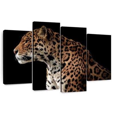 Jaguar de minuit Brampt